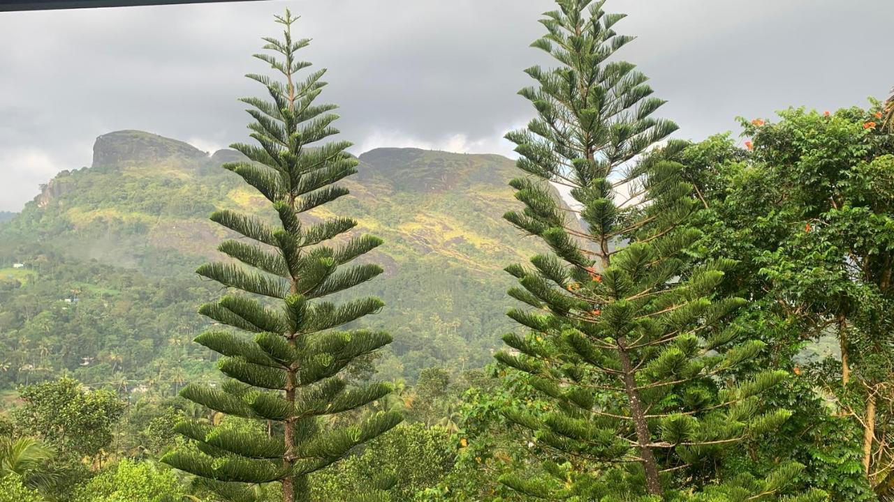 Sceva'S Garden Home Munnar Ngoại thất bức ảnh