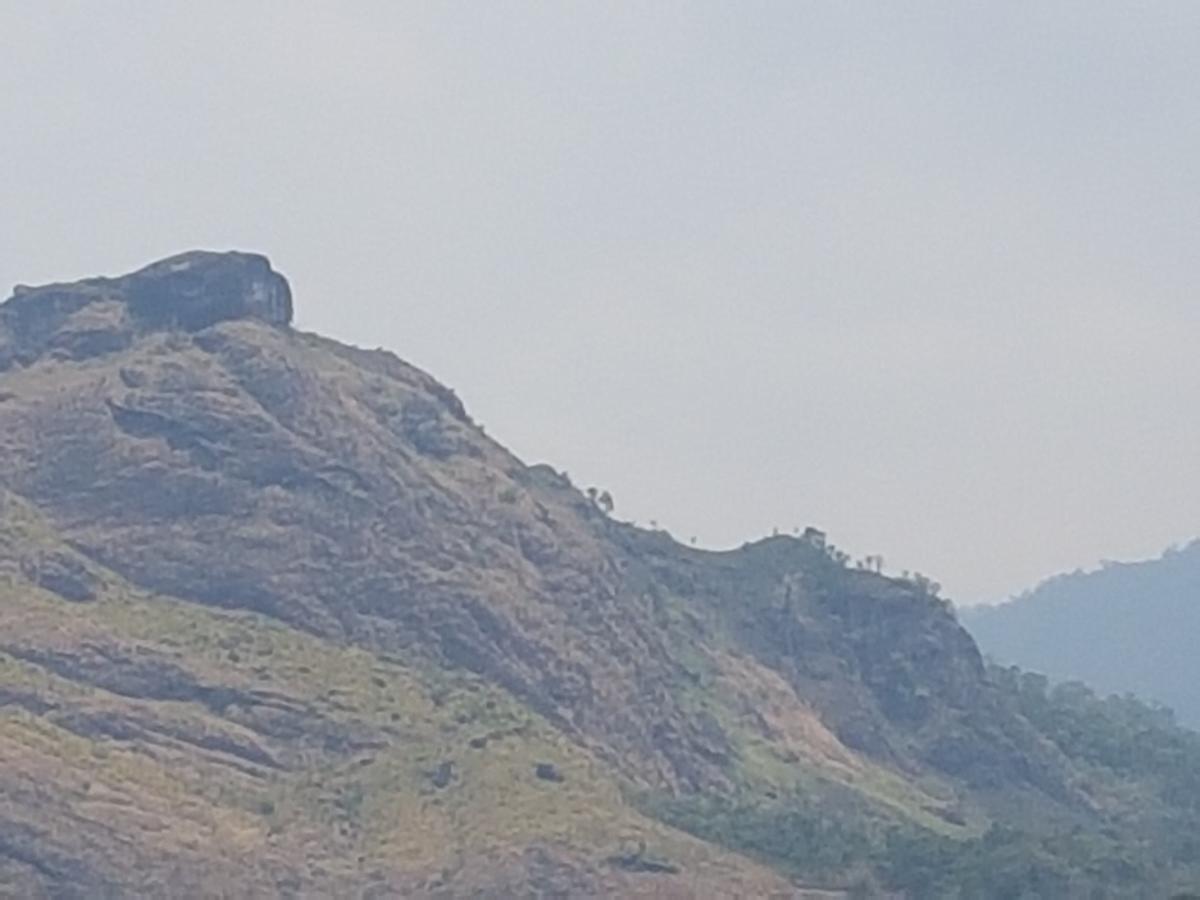Sceva'S Garden Home Munnar Ngoại thất bức ảnh